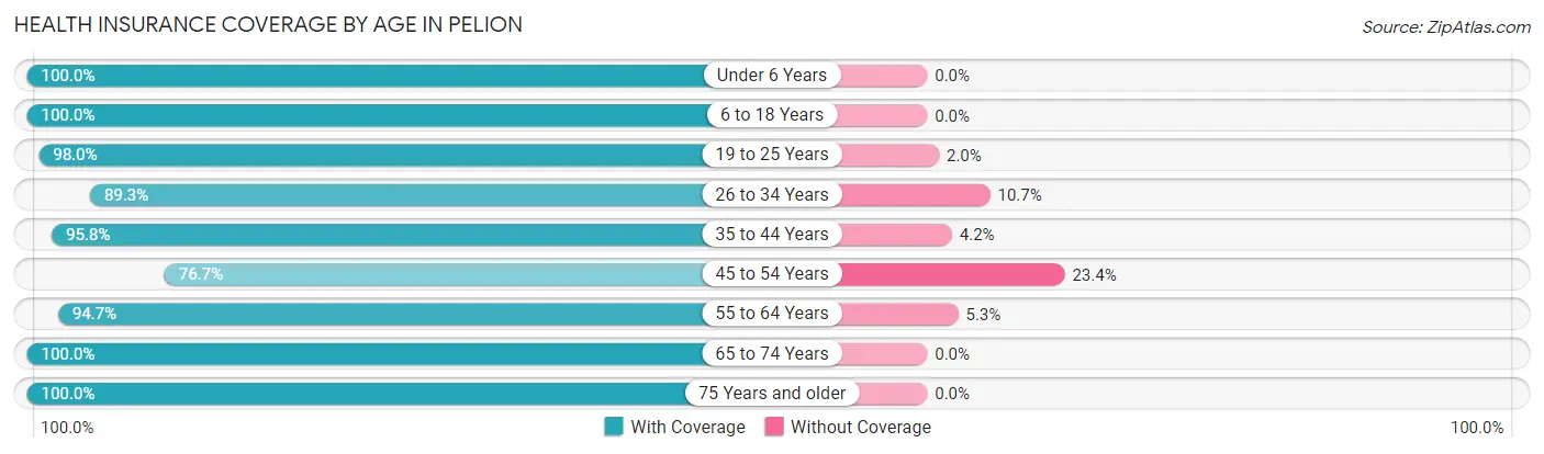 Health Insurance Coverage by Age in Pelion