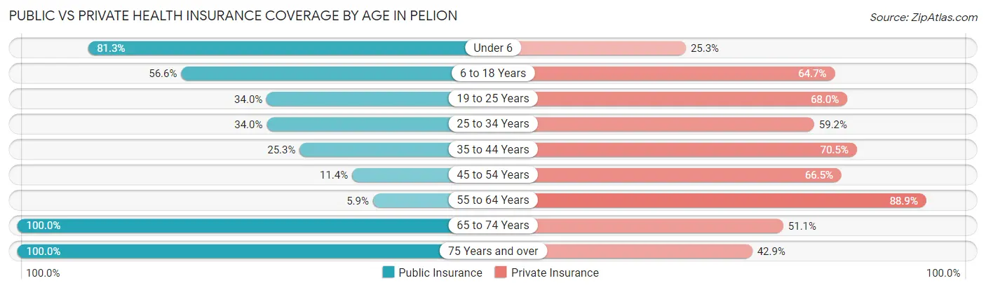 Public vs Private Health Insurance Coverage by Age in Pelion