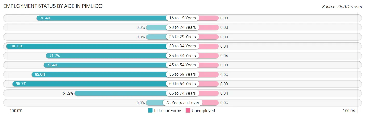 Employment Status by Age in Pimlico