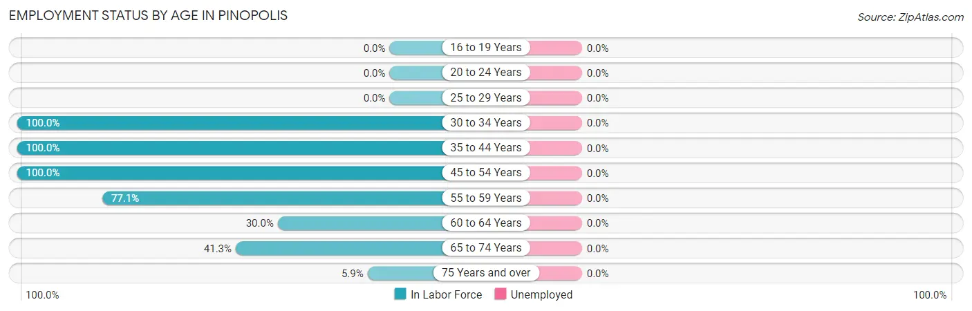 Employment Status by Age in Pinopolis