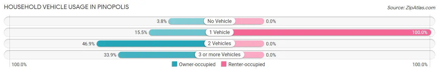 Household Vehicle Usage in Pinopolis