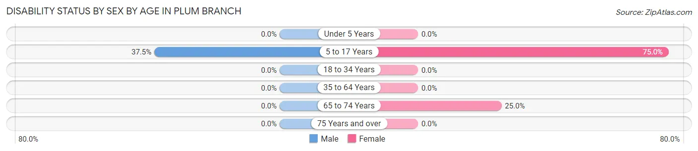 Disability Status by Sex by Age in Plum Branch