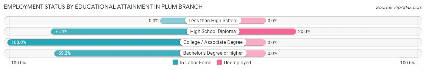 Employment Status by Educational Attainment in Plum Branch