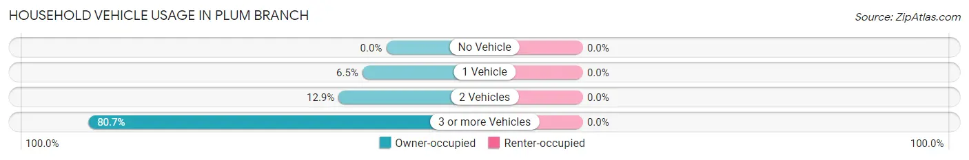 Household Vehicle Usage in Plum Branch