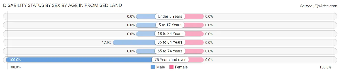 Disability Status by Sex by Age in Promised Land