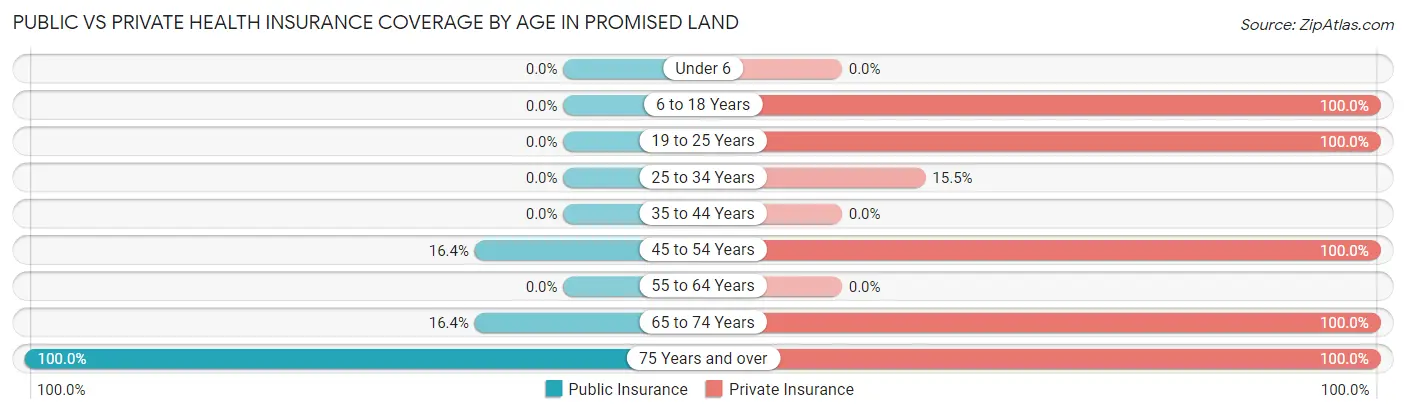 Public vs Private Health Insurance Coverage by Age in Promised Land