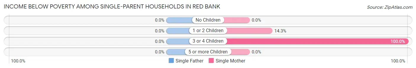 Income Below Poverty Among Single-Parent Households in Red Bank