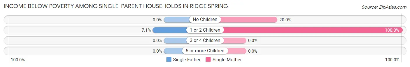 Income Below Poverty Among Single-Parent Households in Ridge Spring