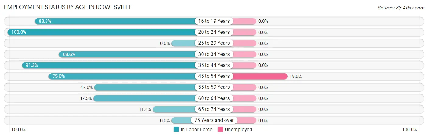 Employment Status by Age in Rowesville