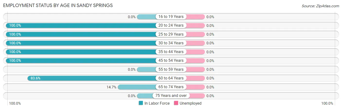 Employment Status by Age in Sandy Springs