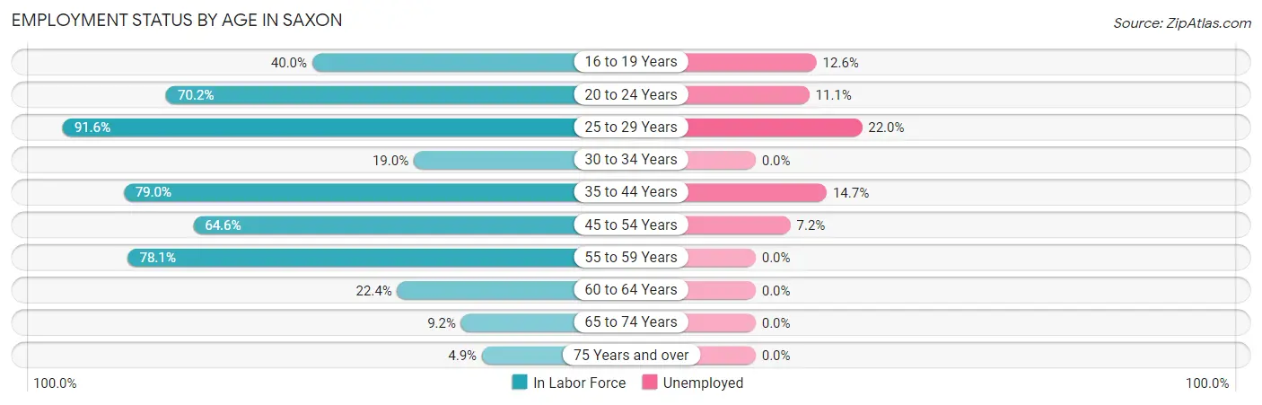 Employment Status by Age in Saxon