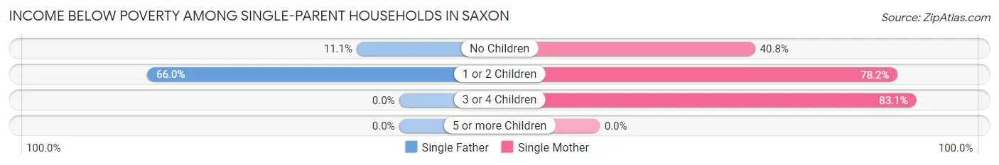 Income Below Poverty Among Single-Parent Households in Saxon