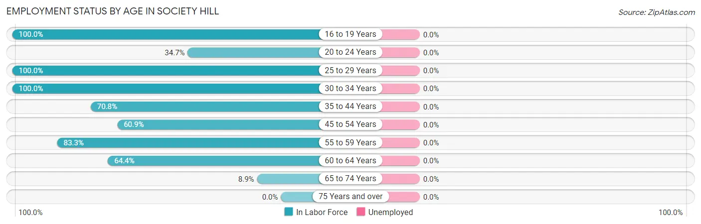 Employment Status by Age in Society Hill