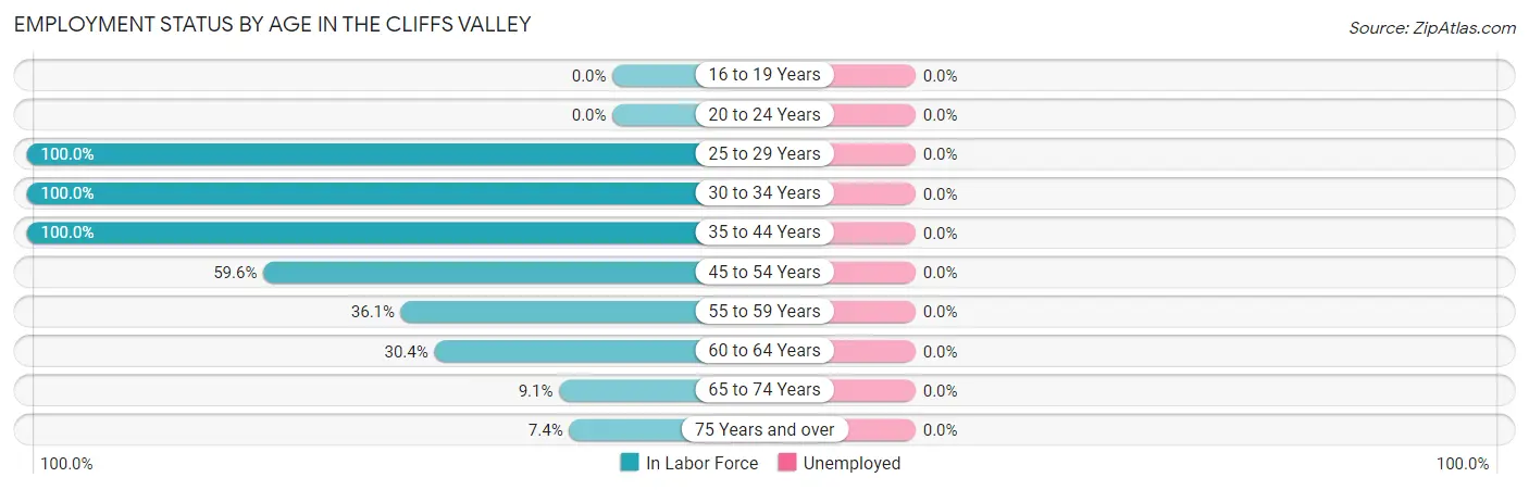 Employment Status by Age in The Cliffs Valley