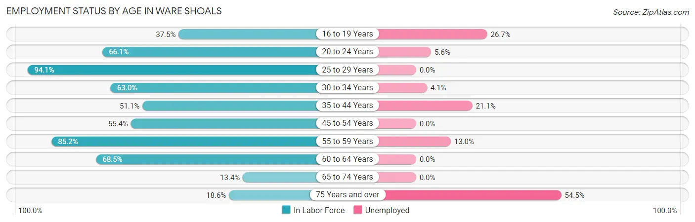 Employment Status by Age in Ware Shoals
