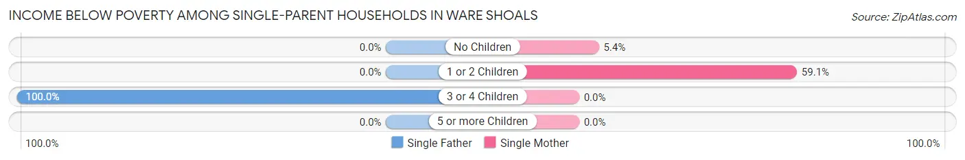 Income Below Poverty Among Single-Parent Households in Ware Shoals