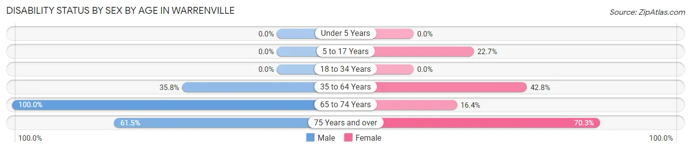 Disability Status by Sex by Age in Warrenville