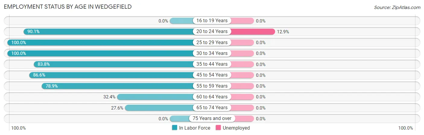 Employment Status by Age in Wedgefield