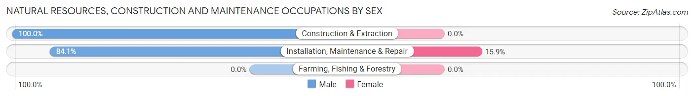 Natural Resources, Construction and Maintenance Occupations by Sex in Wedgefield