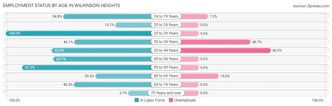 Employment Status by Age in Wilkinson Heights