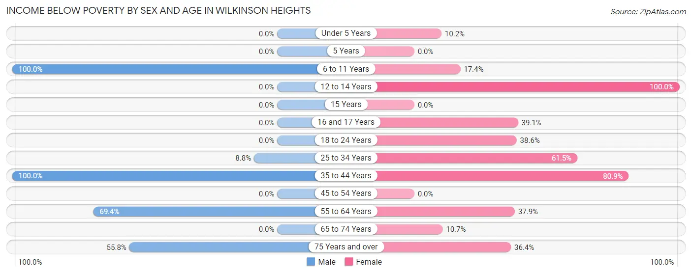 Income Below Poverty by Sex and Age in Wilkinson Heights