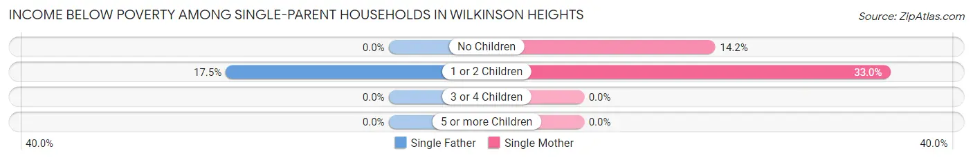 Income Below Poverty Among Single-Parent Households in Wilkinson Heights