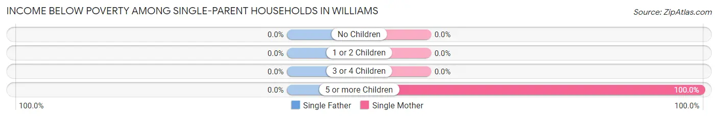 Income Below Poverty Among Single-Parent Households in Williams