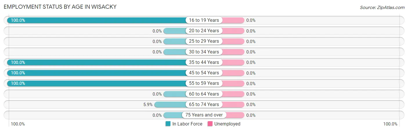 Employment Status by Age in Wisacky