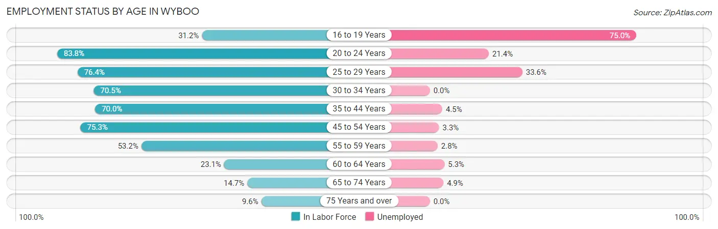 Employment Status by Age in Wyboo