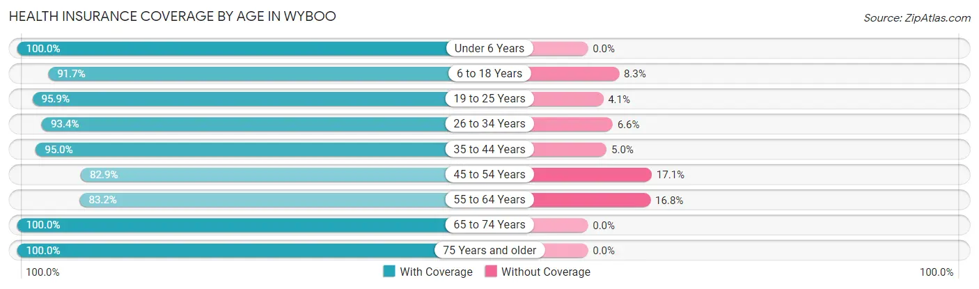 Health Insurance Coverage by Age in Wyboo