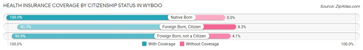 Health Insurance Coverage by Citizenship Status in Wyboo