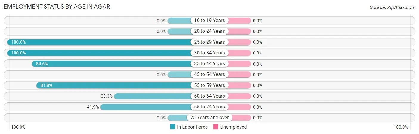 Employment Status by Age in Agar