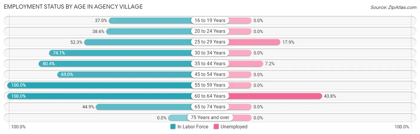 Employment Status by Age in Agency Village