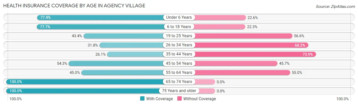 Health Insurance Coverage by Age in Agency Village
