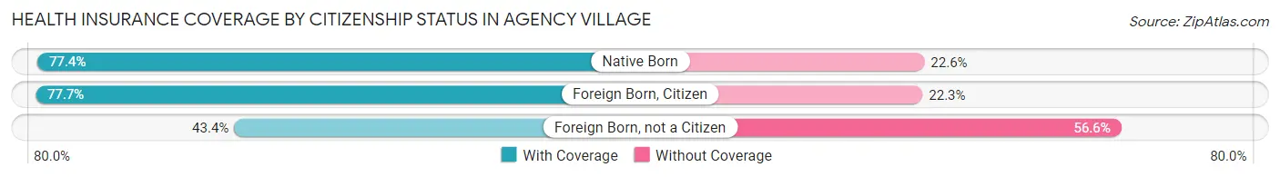 Health Insurance Coverage by Citizenship Status in Agency Village