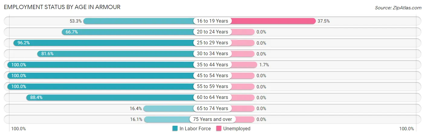 Employment Status by Age in Armour