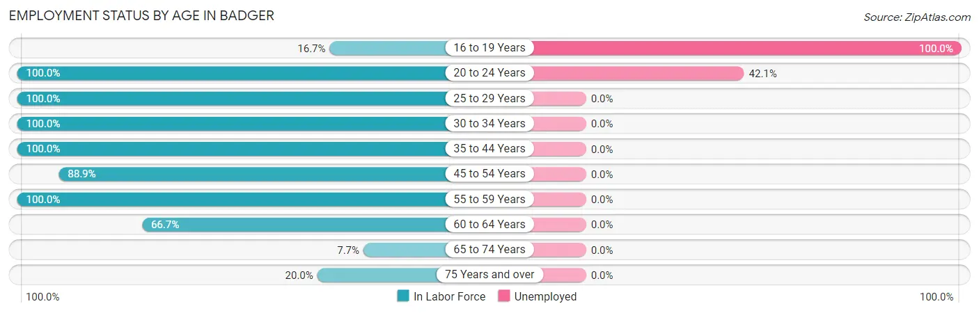 Employment Status by Age in Badger