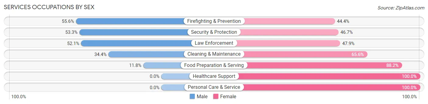 Services Occupations by Sex in Belle Fourche