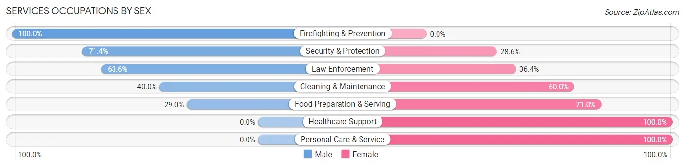 Services Occupations by Sex in Beresford