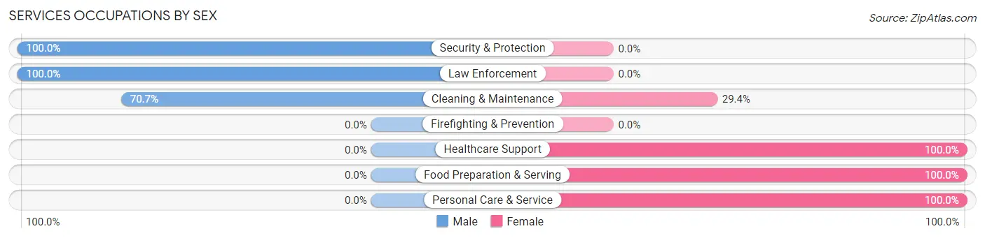 Services Occupations by Sex in Blackhawk