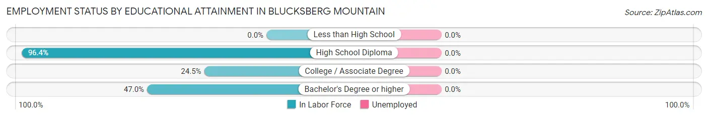 Employment Status by Educational Attainment in Blucksberg Mountain