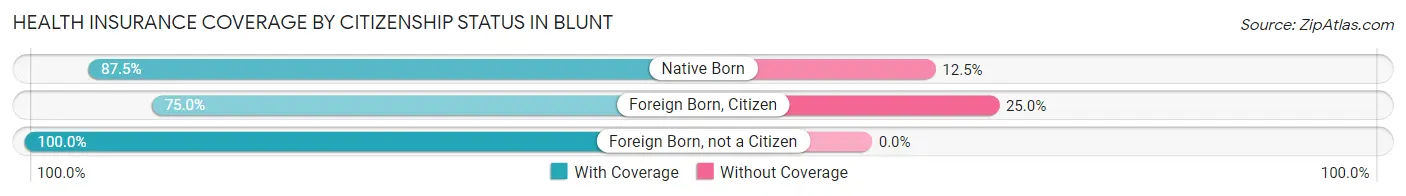 Health Insurance Coverage by Citizenship Status in Blunt