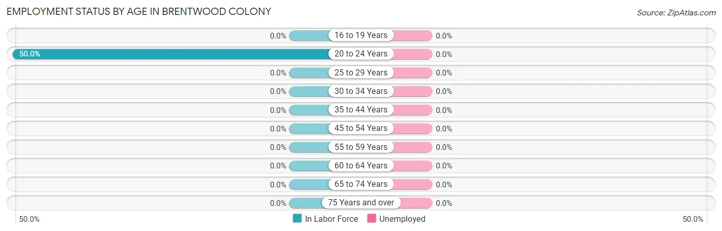 Employment Status by Age in Brentwood Colony