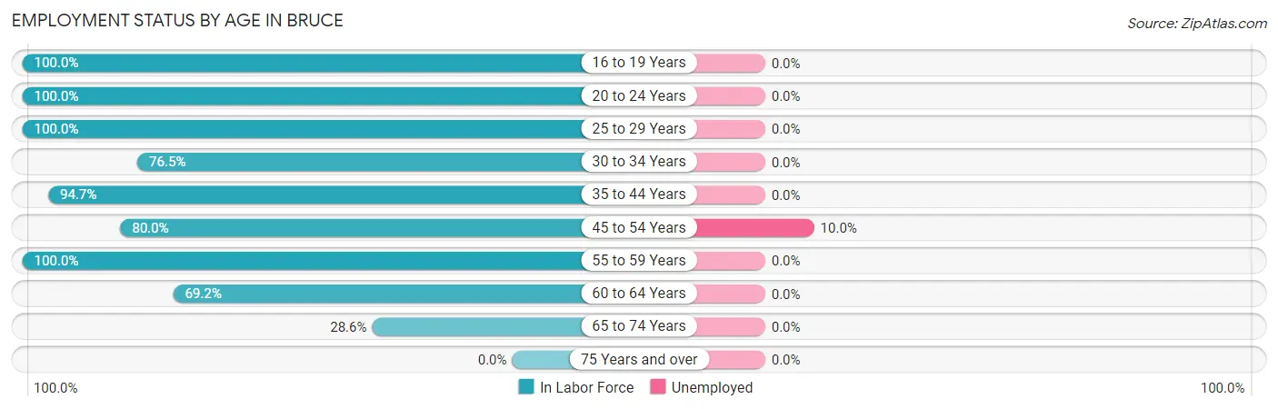 Employment Status by Age in Bruce