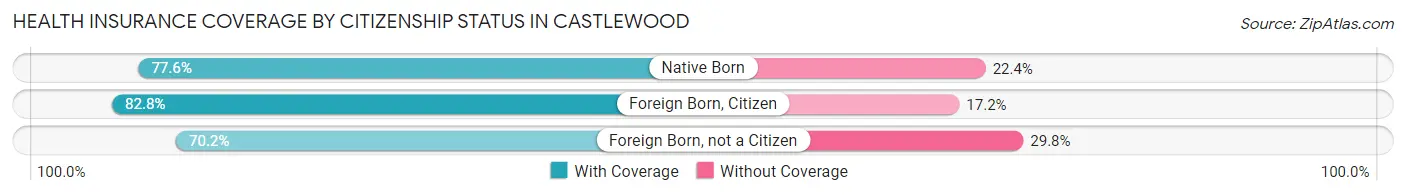 Health Insurance Coverage by Citizenship Status in Castlewood