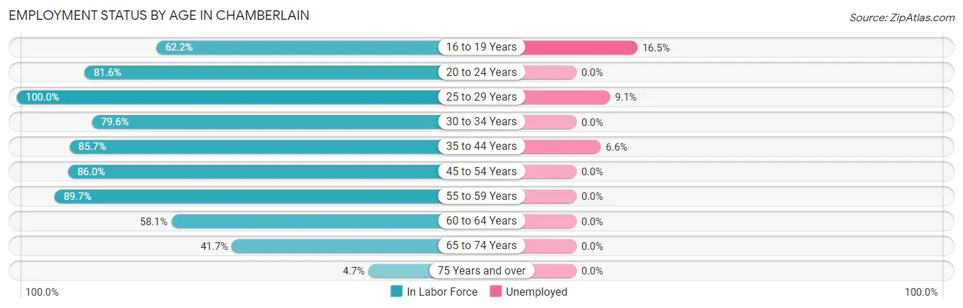 Employment Status by Age in Chamberlain