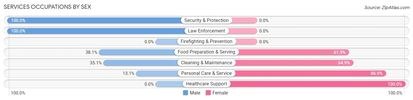 Services Occupations by Sex in Chamberlain