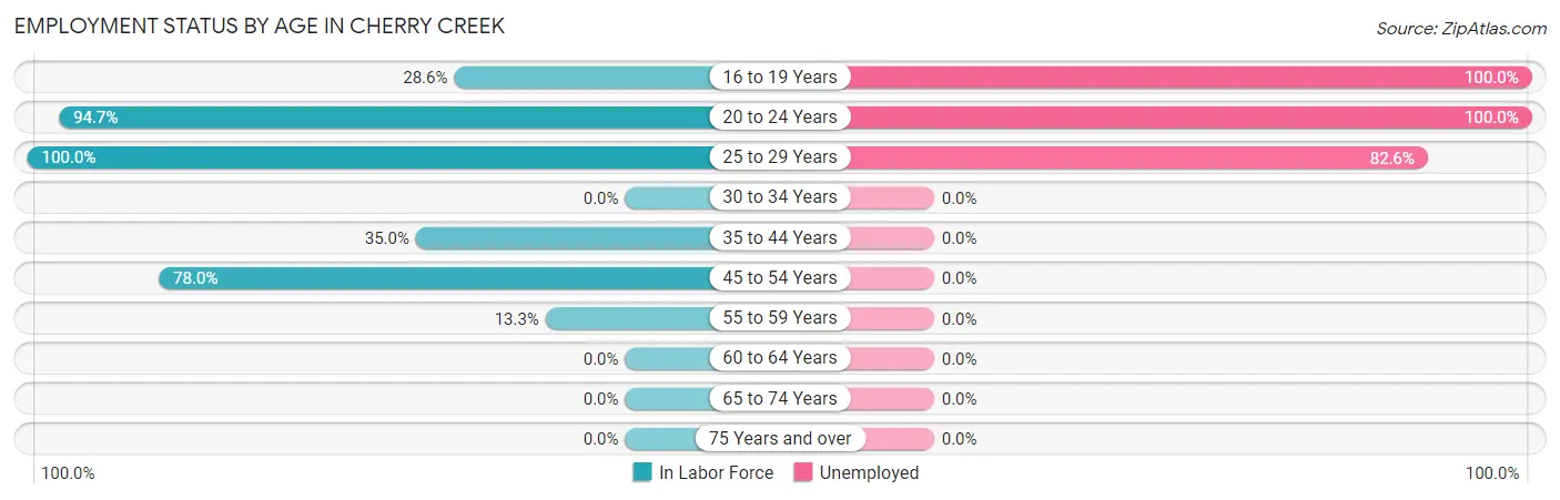 Employment Status by Age in Cherry Creek