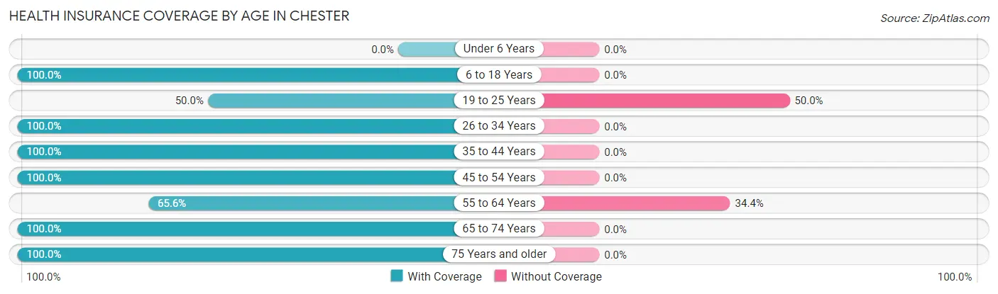 Health Insurance Coverage by Age in Chester