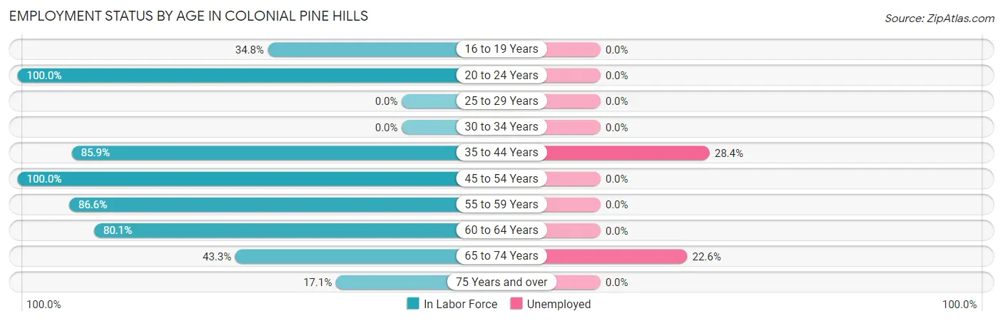Employment Status by Age in Colonial Pine Hills